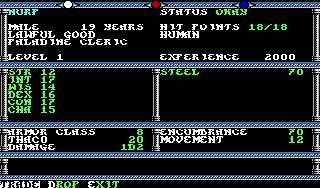 Champions of Krynn screenshot