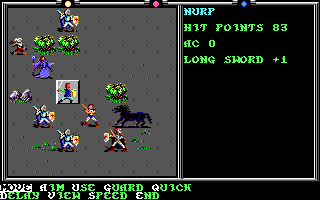 Death Knights of Krynn screenshot