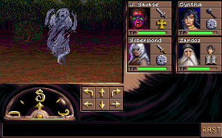 Eye of the Beholder 3 - Assault on Myth Drannor screenshot