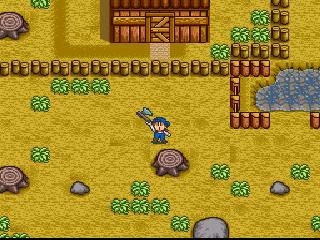 Harvest Moon screenshot