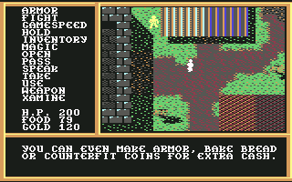 Legend of Blacksilver screenshot