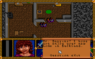 Lords of The Rings 1 - Fellowship of the Ring screenshot