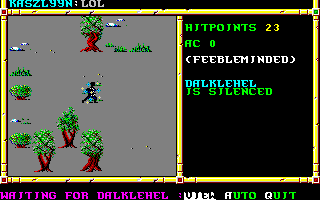 Neverwinter Nights - Original screenshot