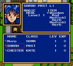 Shining Force 2 screenshot