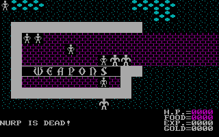 Ultima 2 - Revenge of the Enchantness screenshot