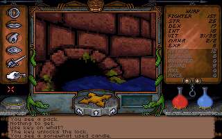 Ultima Underworld 1 - The Stygian Abyss screenshot
