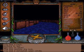 Ultima Underworld 1 - The Stygian Abyss screenshot